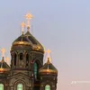 maxon_044