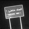 1w_o