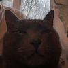 espitty