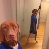 addmedoe