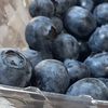 blueberrysam1