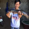 phuthobaoloc49