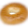 EvasiveBagel