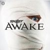 daily_skillet_songs