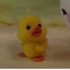 linhdan39793