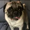 itsmebro21boss