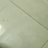 avctunkabc