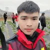 viet_hoang12y15zr