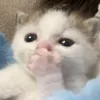 ssanyushaa