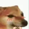 ducna00