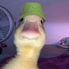 notaregularmom23