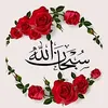 awen4268
