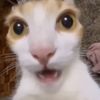 aeissh