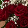 mariam.156