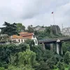 asiyesahin0