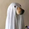 kyzna_eu