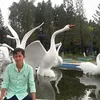 30930598881