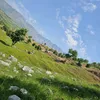 ayub_slah