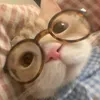 weommoeww