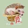 吃吃霞