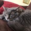 drew_fiedler_