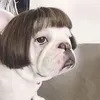 jaqurpo