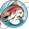 anhkhoafishing
