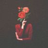 redrose24243