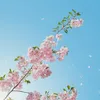 user18180017