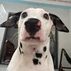 bitbitsuly