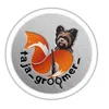 taja_groomer_