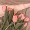 sulysuly_01