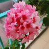 huongmuahaflower