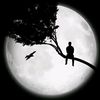 edris_payez_