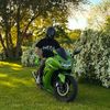 thatgreen250