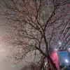 tinhtinh_bichtran134_