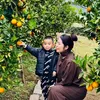 thikhanh212