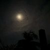 rohan_ahmed_200