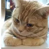 yuyuhinytrewffgghvvgh