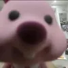 _nabmii