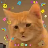 https_eden0