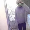 prizma300