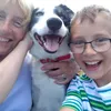 bordercollietixtoxs