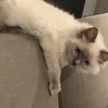 miky_mi8k