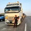 alzeer81