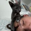 miastias