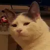 prodstate