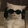 dasbomber