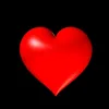 user051335