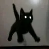 snsnwja